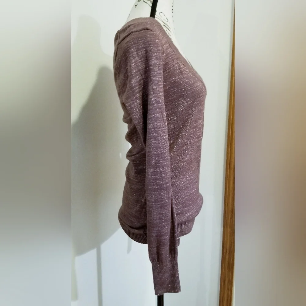 Express Pink Mauve Shimmer Vneck Longsleeve Banded Blouse Medium